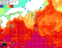 NOAA人工衛星画像:黒潮域, 1週間合成画像(2024/11/08～2024/11/14UTC)