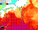 NOAA人工衛星画像:黒潮域, 1週間合成画像(2024/11/10～2024/11/16UTC)