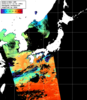 NOAA人工衛星画像:日本全域, パス=20241117 13:03 UTC