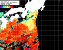 NOAA人工衛星画像:黒潮域, 1日合成画像(2024/11/17UTC)