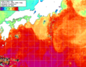 NOAA人工衛星画像:黒潮域, 1週間合成画像(2024/11/11～2024/11/17UTC)