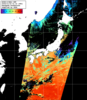 NOAA人工衛星画像:日本全域, パス=20241118 01:19 UTC