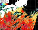NOAA人工衛星画像:黒潮域, パス=20241118 01:19 UTC