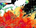 NOAA人工衛星画像:黒潮域, 1日合成画像(2024/11/18UTC)