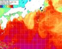 NOAA人工衛星画像:黒潮域, 1週間合成画像(2024/11/12～2024/11/18UTC)