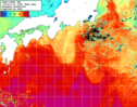 NOAA人工衛星画像:黒潮域, 1週間合成画像(2024/11/13～2024/11/19UTC)
