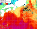 NOAA人工衛星画像:黒潮域, 1週間合成画像(2024/11/14～2024/11/20UTC)