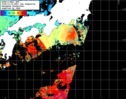 NOAA人工衛星画像:黒潮域, 1日合成画像(2024/11/21UTC)