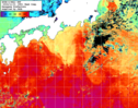 NOAA人工衛星画像:黒潮域, 1週間合成画像(2024/11/15～2024/11/21UTC)