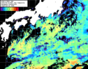 NOAA人工衛星画像:黒潮域, 1日合成画像(2025/05/15UTC)