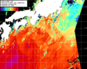 NOAA人工衛星画像:黒潮域, 1日合成画像(2025/06/21UTC)