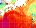 NOAA人工衛星画像:黒潮域, 1週間合成画像(2025/06/15～2025/06/21UTC)