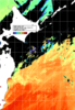 NOAA人工衛星画像:親潮域, 1日合成画像(2025/06/22UTC)