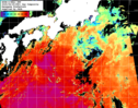 NOAA人工衛星画像:黒潮域, 1日合成画像(2025/06/25UTC)
