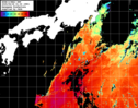 NOAA人工衛星画像:黒潮域, パス=20250626 01:00 UTC