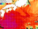 NOAA人工衛星画像:黒潮域, 1日合成画像(2025/06/29UTC)