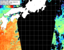 NOAA人工衛星画像:黒潮域, 1日合成画像(2025/07/01UTC)