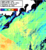 NOAA人工衛星画像:神奈川県近海, パス=20250703 12:32 UTC