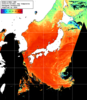 NOAA人工衛星画像:日本全域, 1日合成画像(2025/07/29UTC)