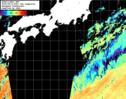 NOAA人工衛星画像:黒潮域, 1日合成画像(2025/08/11UTC)