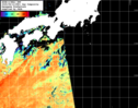 NOAA人工衛星画像:黒潮域, 1日合成画像(2025/08/12UTC)