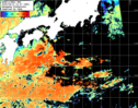 NOAA人工衛星画像:黒潮域, パス=20250813 12:47 UTC