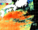 NOAA人工衛星画像:黒潮域, 1日合成画像(2025/08/13UTC)