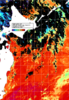NOAA人工衛星画像:親潮域, 1日合成画像(2025/08/14UTC)