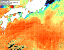 NOAA人工衛星画像:黒潮域, 1日合成画像(2025/08/17UTC)