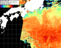 NOAA人工衛星画像:黒潮域, 1日合成画像(2025/08/18UTC)