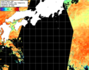 NOAA人工衛星画像:黒潮域, 1日合成画像(2025/08/19UTC)