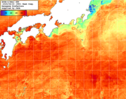 NOAA人工衛星画像:黒潮域, 1週間合成画像(2025/08/14～2025/08/20UTC)