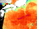 NOAA人工衛星画像:黒潮域, 1日合成画像(2025/08/25UTC)
