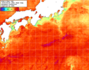 NOAA人工衛星画像:黒潮域, 1週間合成画像(2025/08/19～2025/08/25UTC)