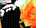 NOAA人工衛星画像:黒潮域, 1日合成画像(2025/08/26UTC)