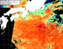 NOAA人工衛星画像:黒潮域, 1日合成画像(2025/08/29UTC)