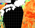 NOAA人工衛星画像:黒潮域, 1日合成画像(2025/08/30UTC)