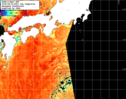 NOAA人工衛星画像:黒潮域, 1日合成画像(2025/08/31UTC)