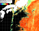 NOAA人工衛星画像:黒潮域, 1日合成画像(2025/09/02UTC)