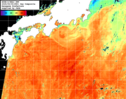 NOAA人工衛星画像:黒潮域, 1日合成画像(2025/09/09UTC)