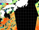NOAA人工衛星画像:黒潮域, 1日合成画像(2025/09/11UTC)