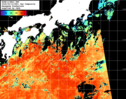 NOAA人工衛星画像:黒潮域, 1日合成画像(2025/09/12UTC)