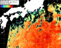 NOAA人工衛星画像:黒潮域, 1日合成画像(2025/09/13UTC)