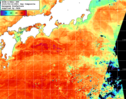NOAA人工衛星画像:黒潮域, 1日合成画像(2025/09/16UTC)
