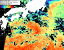 NOAA人工衛星画像:黒潮域, 1日合成画像(2025/09/28UTC)