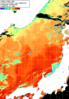 NOAA人工衛星画像:日本海, 1日合成画像(2025/10/08UTC)