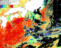 NOAA人工衛星画像:黒潮域, 1日合成画像(2025/10/09UTC)