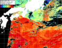 NOAA人工衛星画像:黒潮域, パス=20251017 01:14 UTC