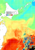 NOAA人工衛星画像:親潮域, 1週間合成画像(2025/10/29～2025/11/04UTC)