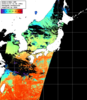 NOAA人工衛星画像:日本全域, パス=20251107 01:55 UTC